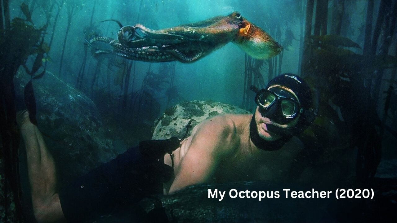 My Octopus Teacher (2020)